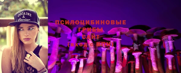 дмт Абаза