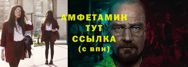 дмт Абаза