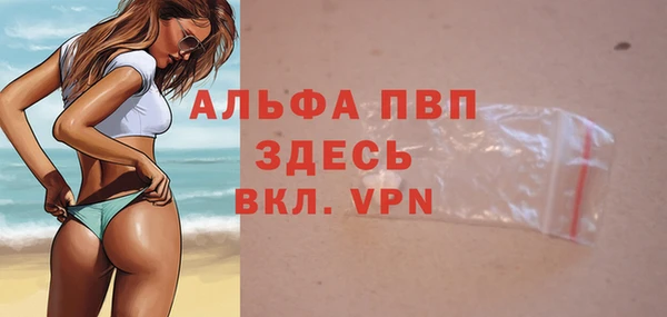 дмт Абаза