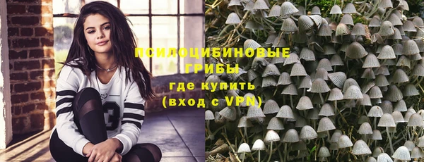 дмт Абаза